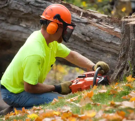 tree services Whitesville